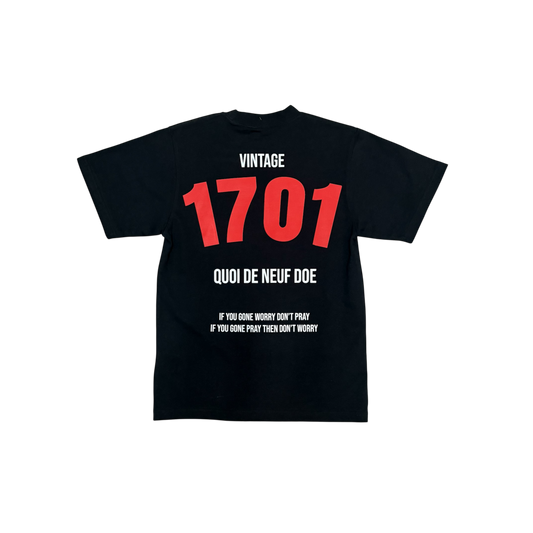 AK -1701 (heavyweight tee)